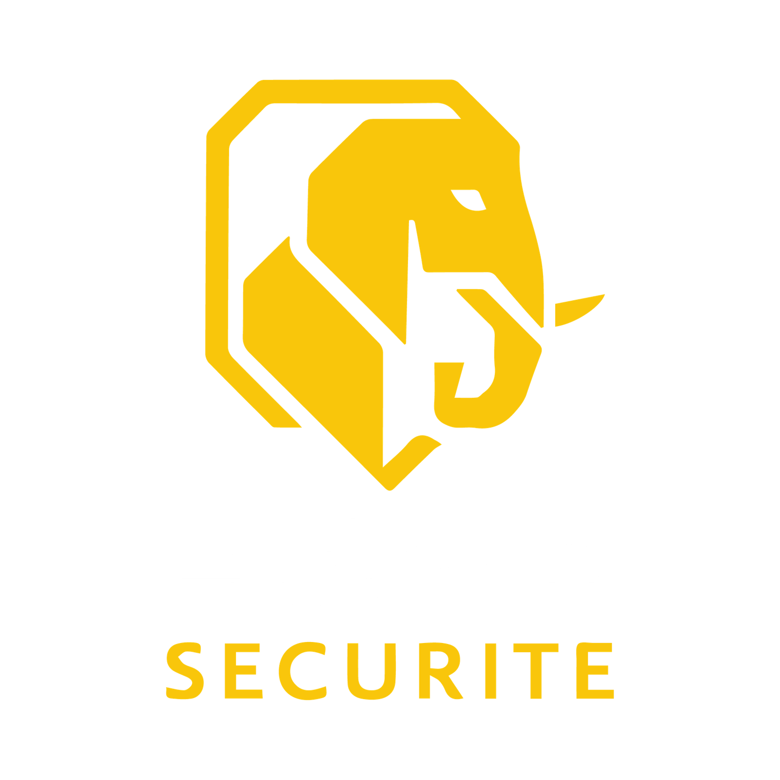 AISSIA SECURITE